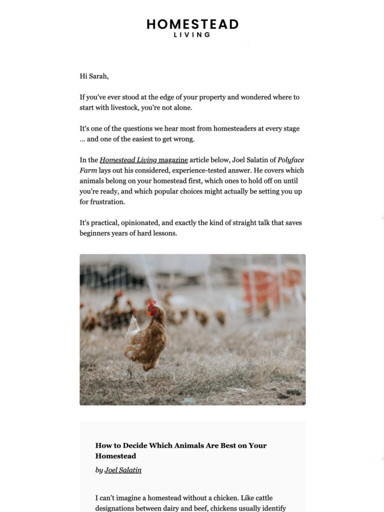 Homestead Living newsletter marketing email example